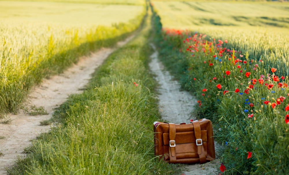 Suitcase on the side of a green rural road symbolising the charity supporter journey